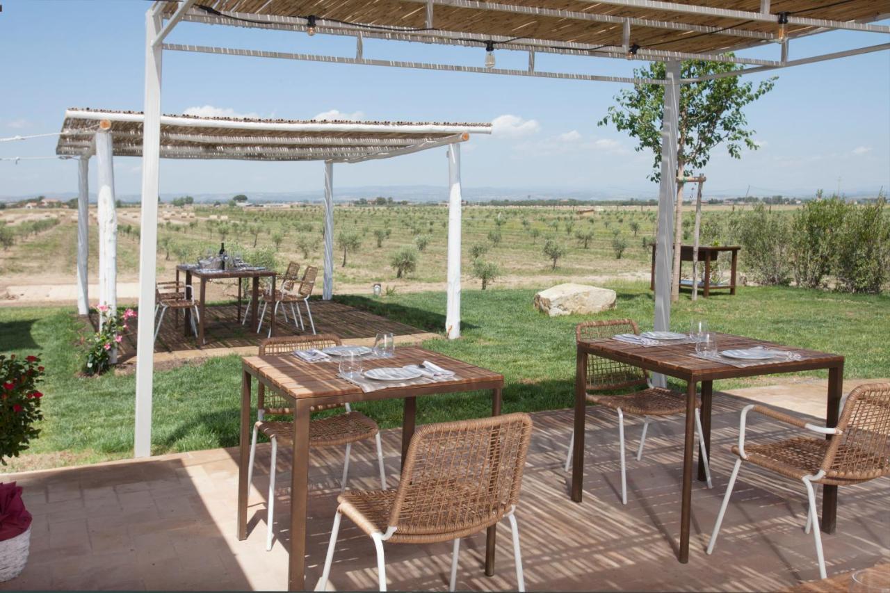 Casale Oliveta Villa Orbetello Ngoại thất bức ảnh